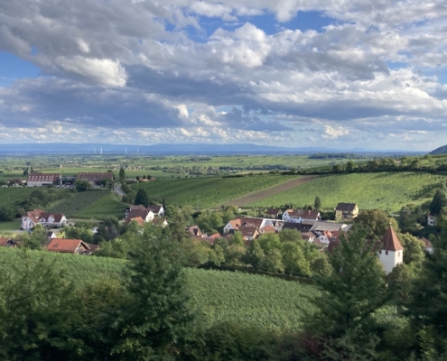 Blick auf Leinsweiler