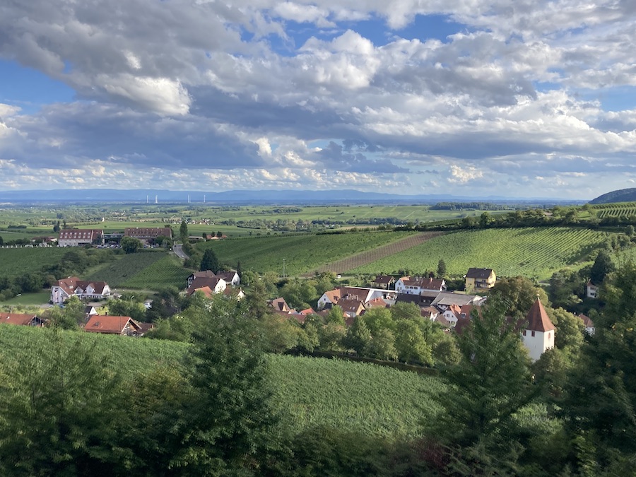 Blick auf Leinsweiler